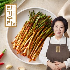 반기수라 양희경 진심담은 파김치 2kg, 1팩