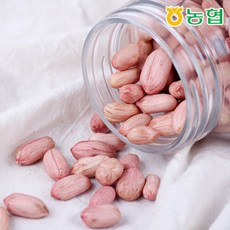 감동 고창 대성농협 고소한 생알 땅콩 1kg, 단품없음