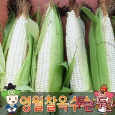 (인빌푸드)고소한 영월 () 50개