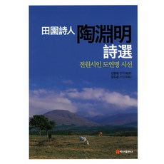 정세랑시선으로부터