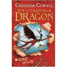 드래곤길들이기