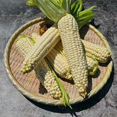 여수옥수수