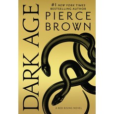 Dark Age Paperback, Del Rey Books, English, 9780425285961