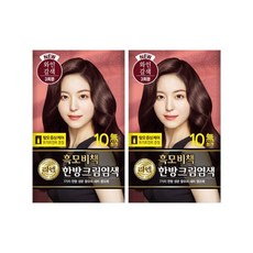 리엔흑모비책자연갈색