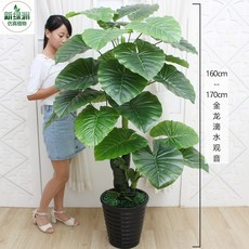 990f9cb40999d1846a5838d148cb42f0a49029f700d367da6346bcd29f96.jpg
