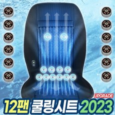 원웨이 2024년 업그레이드 12팬 쿨링시트 통풍시트 저소음 AS보장 12V 가정용 어뎁터, 12팬 쿨링시트만 구매, 1개