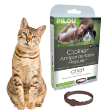 강아지사상충약