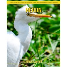 Heron: Fascinating Facts and Photos about These Amazing & Unique Animals for Kids Paperback, Independently Published
