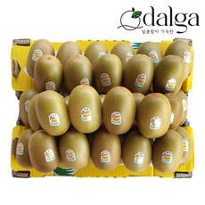 달가 제스프리 뉴질랜드 썬 골드키위 점보 사이즈 41과 벌크 5.8kg 내외, 골드키위 점보과 41과 5.8kg 내외, 1개