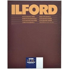 일포드 Ilford 1902303 8인치 x 10인치 인화지 100장, 1개