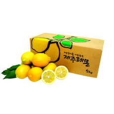 [GAP인증] 산지직송 제주 레몬 국내산 레몬 못난이 대과 레몬, 제주 레몬 대과 (즙용) 2kg, 1개