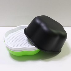 콩나물키우기관찰