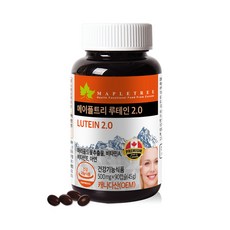 메이플트리보라지유