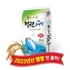 동철원농협 철원오대쌀 10KG ['23년 햅쌀' / '당일도정' & '무료배송' / 단일품종 '오대'], 1개