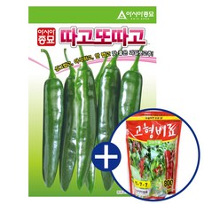  고추씨앗종자 따고또따고(1000립)+고형비료800g증정 