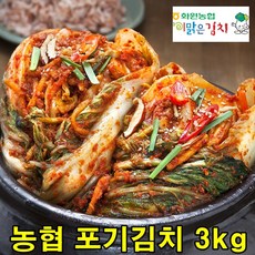 이맑은김치