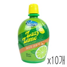 레이지 라임주스 라임즙 200ml 10개