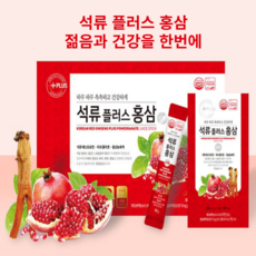 원데이석류스틱