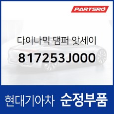 다이나믹 댐퍼 (817253J000) 베라크루즈, 1개
