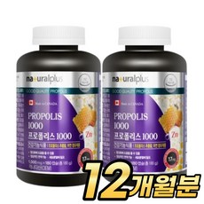 면세점프로폴리스 TOP01