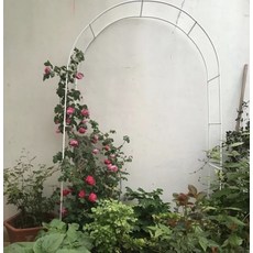 가든 아치 장미 울타리 넝쿨 덩굴 게이트 대문 터널 화단 꾸미기 정원 전원 주택 조경, 흰색기본형 폭 1.4m 높이 2.4m