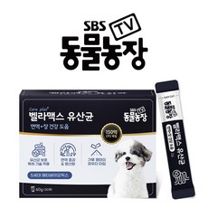 SBS TV 동물농장 유산균 강아지 장 건강 면역력 영양제, 장/유산균, 단품, 1개 - 하루올데이강아지유산균