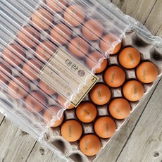 [오늘낳은 달걀] HACCP농가 에그트리 생계란 대란, 30구, 1개