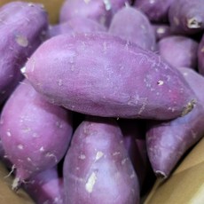 베니하루카 베니지민 꿀고구마, 베니하루카 한입 5kg
