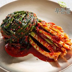 [푸른들] 양념한가득 전라남도 함평김치 파김치 1kg, 1개