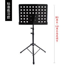 오케스트라공연