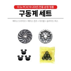 더뉴pcx구동계