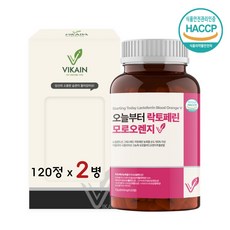 락토디톡