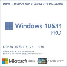 Windows 11 / 10 DSP 일본어판설치 프로그램 USBWindows