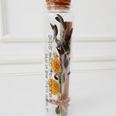 로코코 유리편지 나만의 메세지 어버이날 생일선물, 유리편지 파라리스
