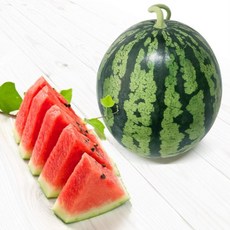 스테비아흑수박