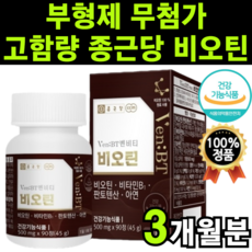 발터벤야민기억의정치학