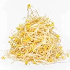 82a789e3197d4d0cd89d76b1eed98df88d42af95a0bd3a0201eeb7df64c6.jpg