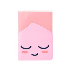 카카오여권지갑