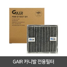 지에어 공기청정기 필터, 카니발, 1개 - air-ap1852i-k-k9