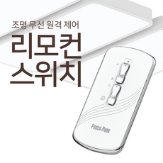 무선원격조정스위치