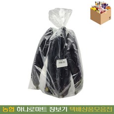 [농협하나로마트] 가지/5입, 2개