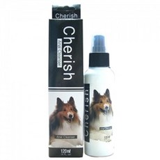 고양이항문티슈