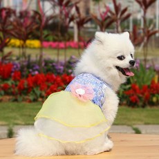 강아지가채