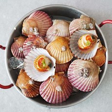 통영 제철 홍가리비 1kg 2kg 3kg/GJ, 01.홍가리비 1kg(23미내외), 1개