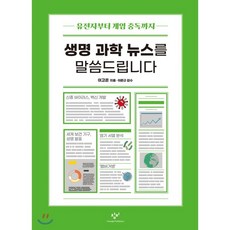 뉴스