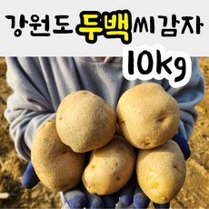 강원도 씨감자 두백 (쪄먹는용/튀김용) 10kg 분감자 감자씨 감자종자