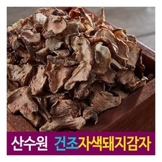 산수원양파즙