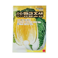 cr황금 김장배추 300립 조생 항암종자, 황금배추500립, 1개