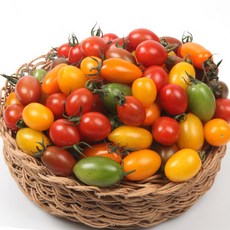 컬러방울토마토