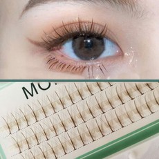 가닥속눈썹브라운